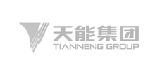 天能集團